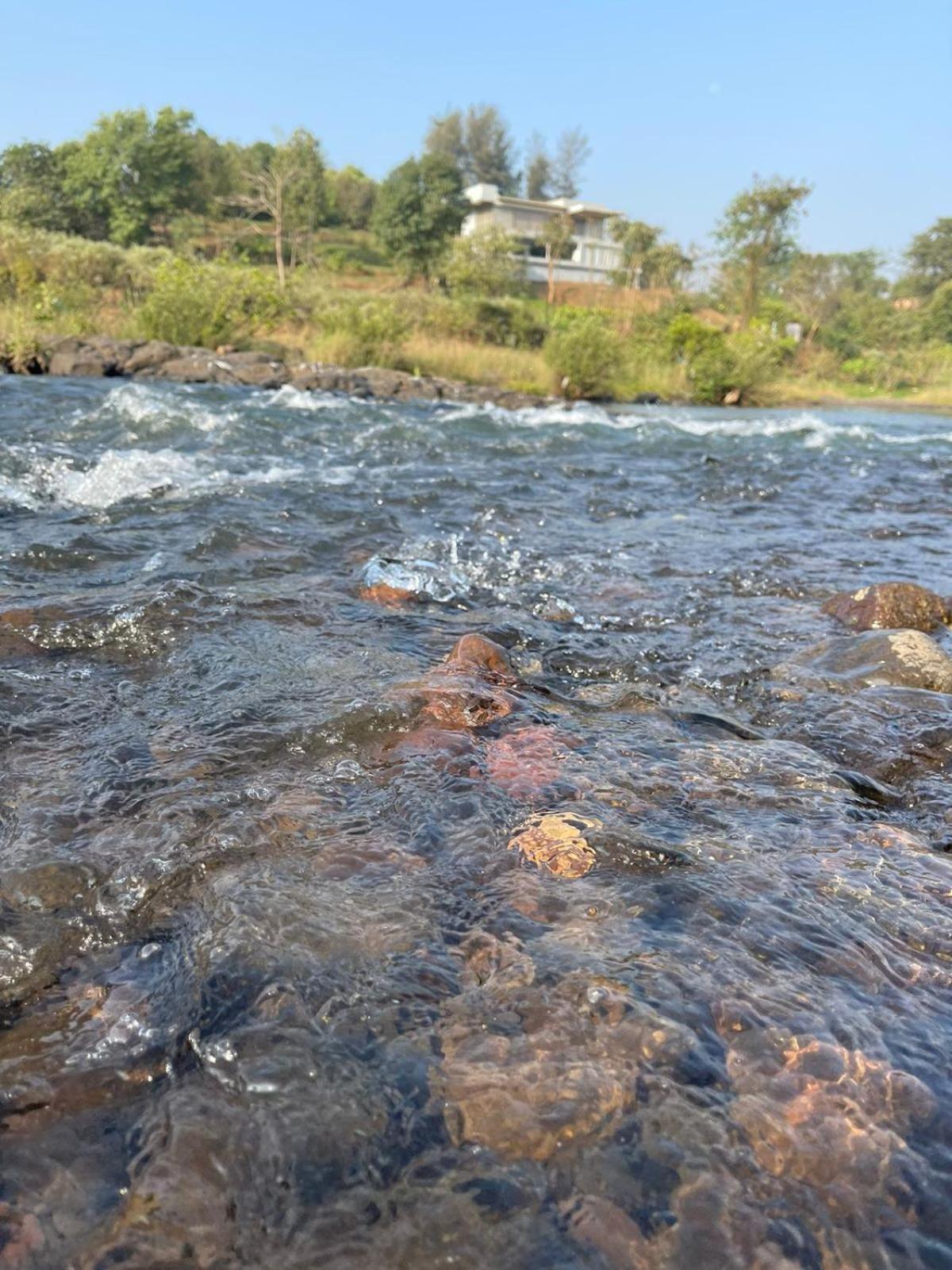 Sohana Eco Retreat Farmhouse - Karjat Chinchavli Quarto foto